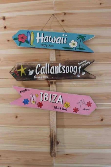 Knus Vakantiehuis 100M Van Het Strand 卡兰茨奥赫 外观 照片